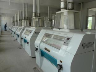 內(nèi)蒙面粉機試機成功